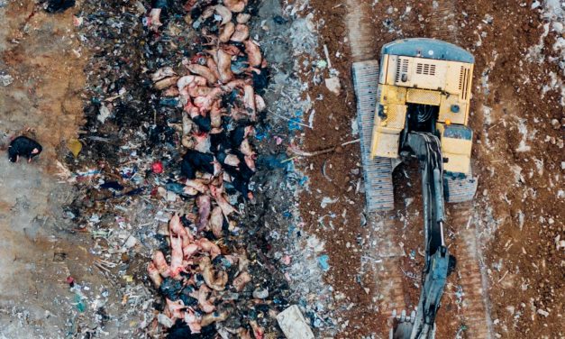 TAIWAN PRESS PHOTO CONTEST 2020  TheThird Prize