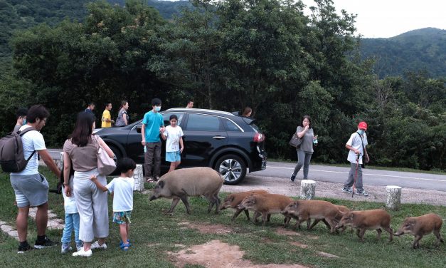 “FOCUS AT THE FRONTLINE 2020” PHOTO CONTEST – Hong Kong Press Photographers Association 5